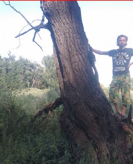 Yaroslav — фото 7